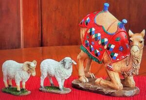 Real Life Nativity Kneeling Camel 2 Awassi Sheep